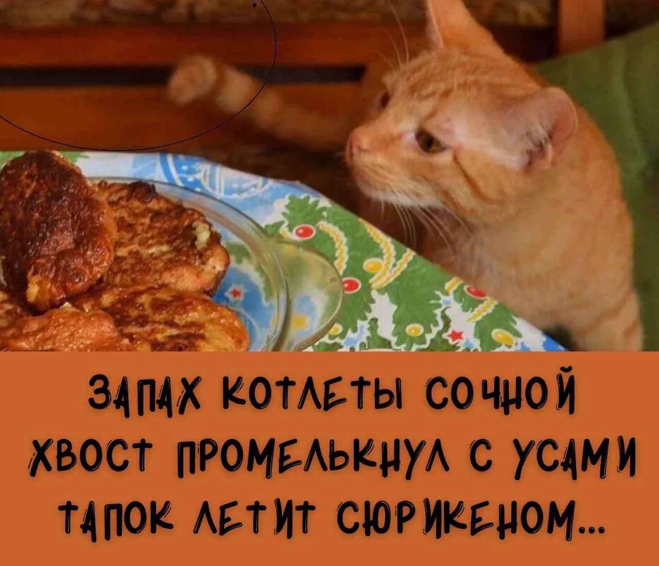 ЗАПАХ КОТЛЕТЫ СОЧЮЙ ХВОСТ ПРОМЕЛЬКНУЛ С УСАМИ ТАПОК ЛЕТИТ СЮРИКЕНОМ...