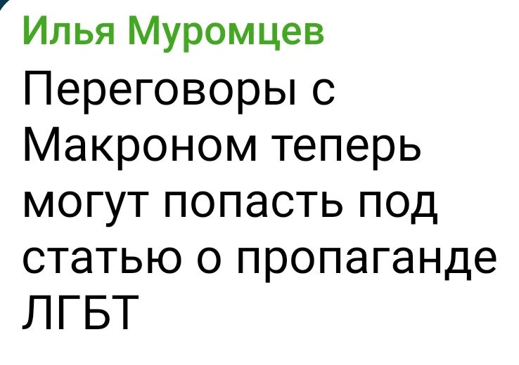 Илья Муромцев Переговоры с Макроном теперь могут попасть под статью о пропаганде ЛГБТ