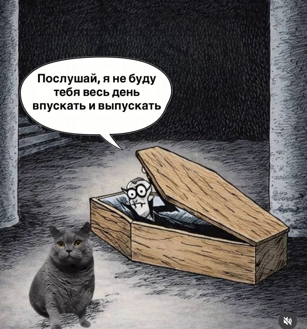 Послушай, я не буду тебя весь день впускать и выпускать