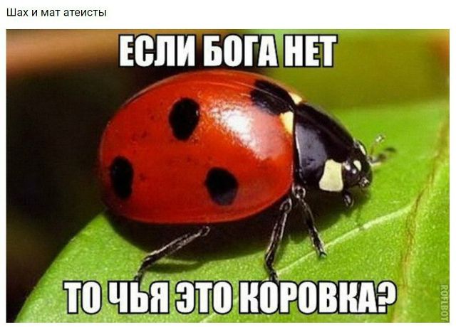 Шах и мат атеисты\nЕСЛИ БОГА НЕТ ТО ЧЬЯ ЭТО КОРОВКА?