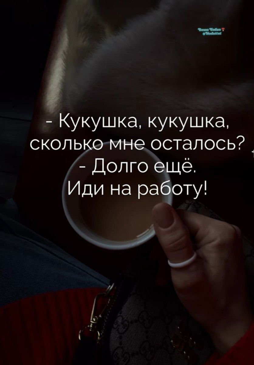 - Кукушка, кукушка, сколько мне осталось? - Долго ещё. Иди на работу!