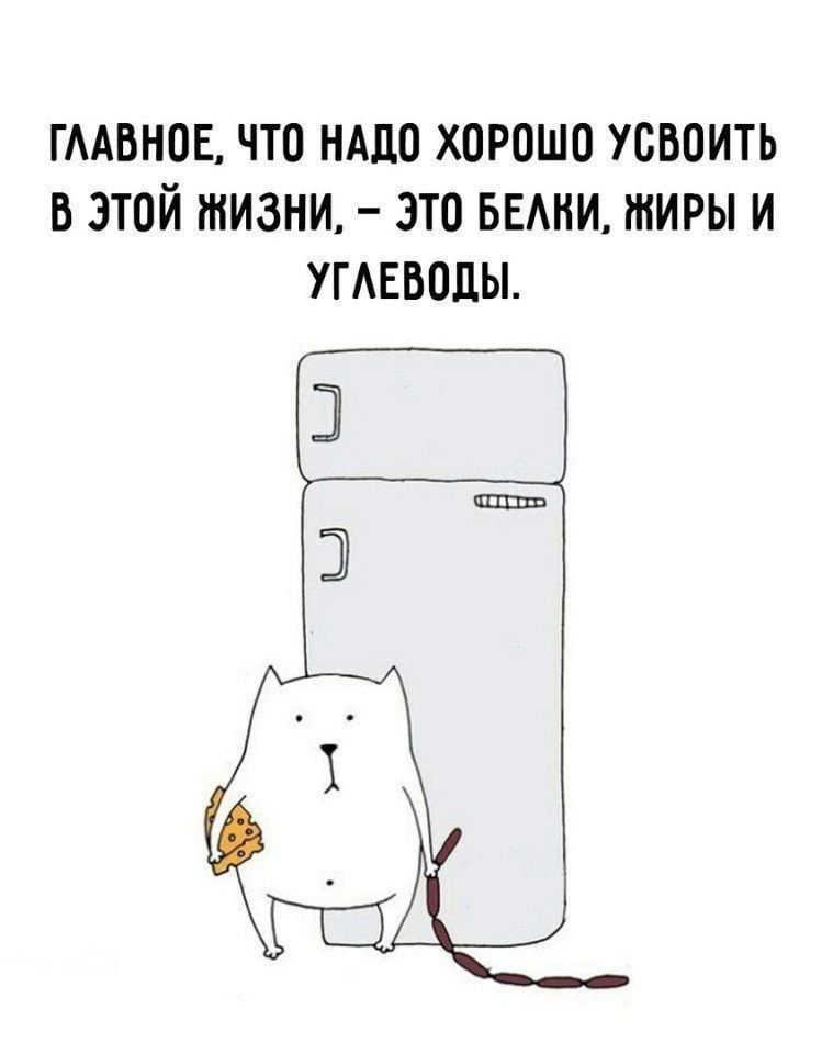 ГЛАВНОЕ, ЧТО НАДО ХОРОШО УСВОИТЬ В ЭТОЙ ЖИЗНИ, - ЭТО БЕЛКИ, ЖИРЫ И УГЛЕВОДЫ.