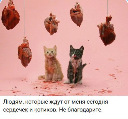 Людям, которые ждут от меня сегодня сердечек и котиков. Не благодарите.