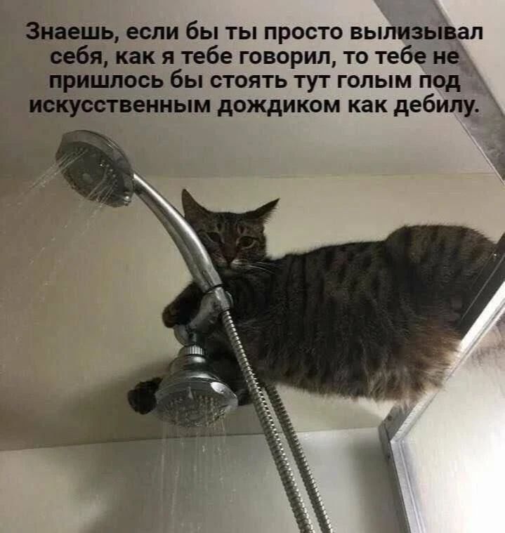 Знаешь, если бы ты просто вылизивал себя, как я тебе говорил, то тебе не пришлось бы стоять тут голым под искусственным дождиком как дебилу.