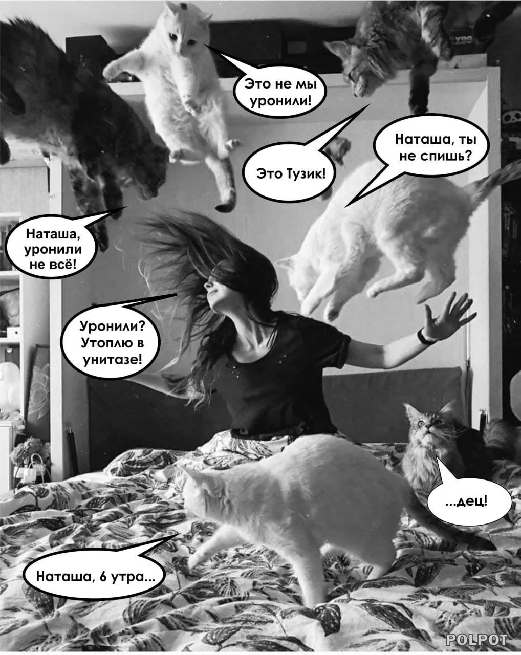 Это не мы уронили! Это Тузик! Наташа, ты не спишь? Наташа, уронили не всё! Уронили? Утолило в унитазе! Наташа, 6 утра...