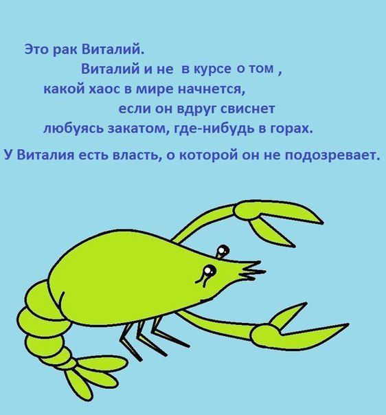 Это рак Виталий. Виталий и не в курсе о том, какой хаос в мире начнется, если он вдруг свиснет любуясь закатом, где-нибудь в горах. У Виталия есть власть, о которой он не подозревает.