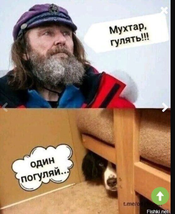 Мухтар, гулять!!!\nодин погуляй..