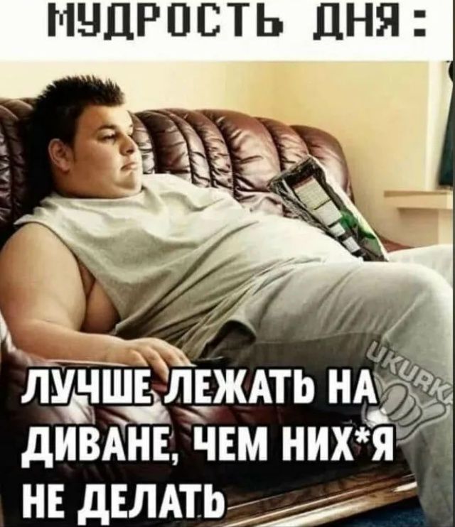 МУДРОСТЬ ДНЯ: ЛУЧШЕ ЛЕЖАТЬ НА ДИВАНЕ, ЧЕМ НИХ*Я НЕ ДЕЛАТЬ