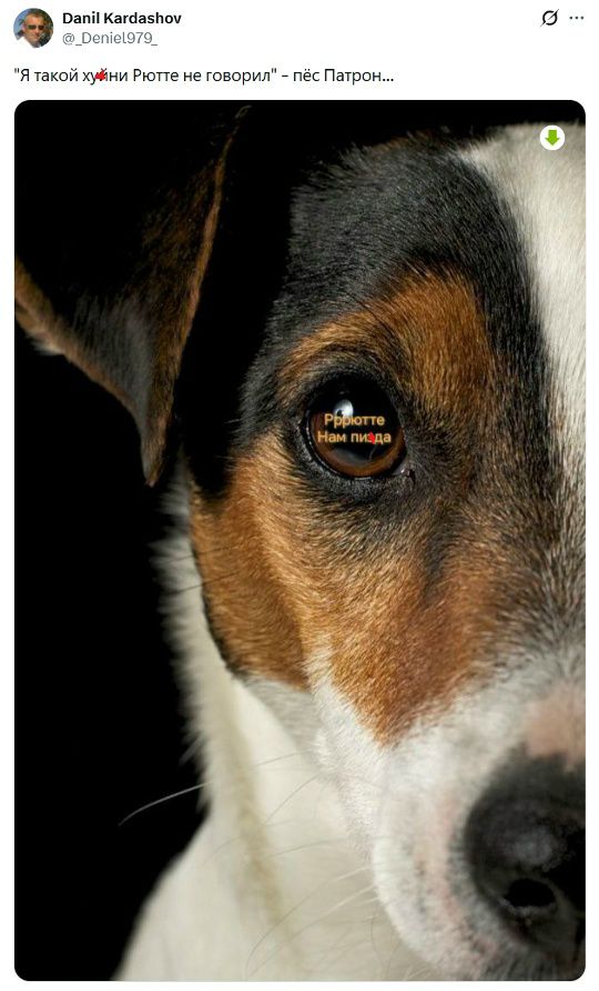 Я такой хуйни Ротте не говорил - пёс Патрон...