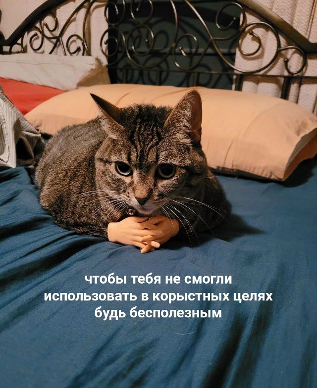 чтобы тебя не смогли использовать в корыстных целях будь бесполезным