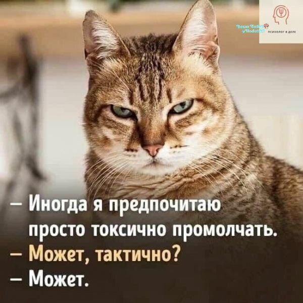 - Иногда я предпочитаю просто токсично промолчать. - Может, тактично? - Может.