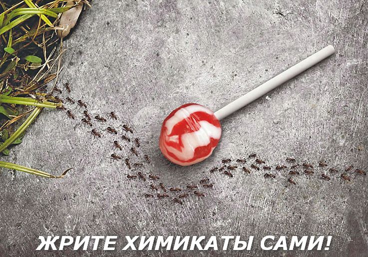ЖРИТЕ ХИМИКАТЫ САМИ!