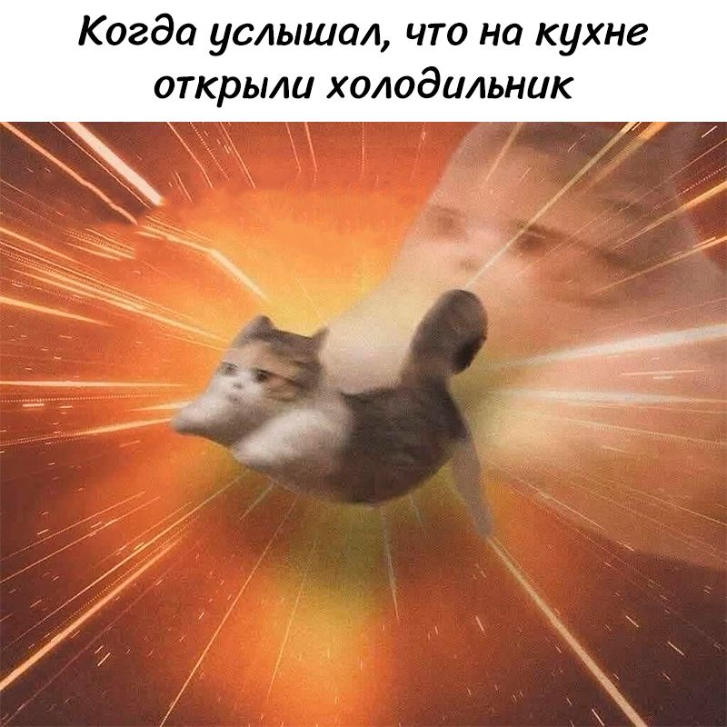 Когда услышал, что на кухне открыли холодильник