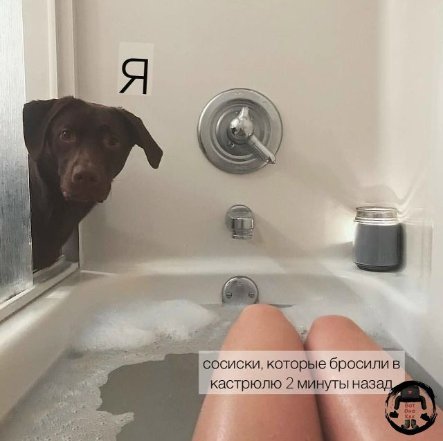 Я
СОСИСКИ, КОТОРЫЕ БРОСИЛИ В КАСТРЮЛЮ 2 МИНУТЫ НАЗАД