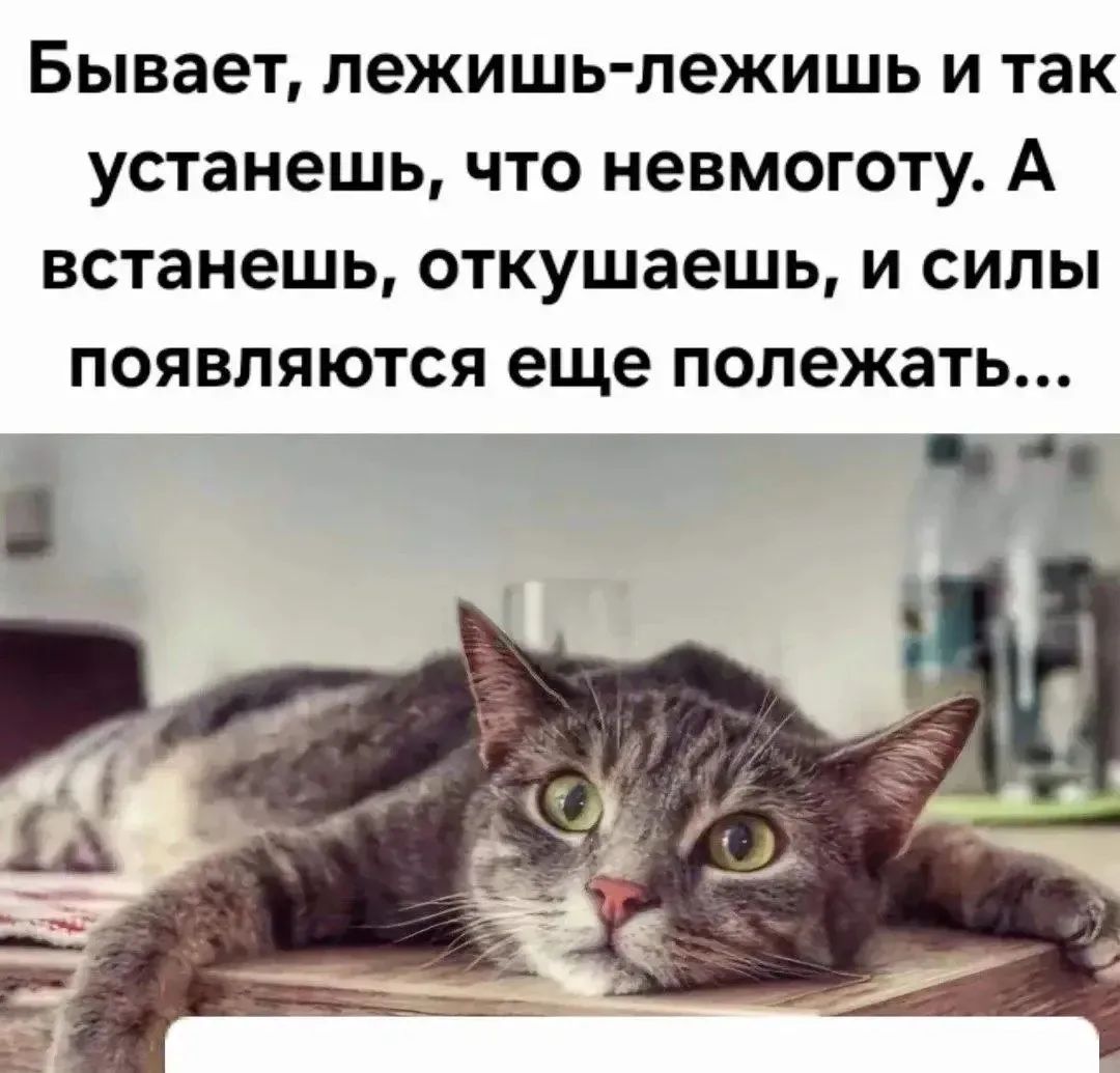Бывает, лежишь-лежишь и так устанешь, что невмоготу. А встанешь, откушаешь, и силы появляются, еще полежать...