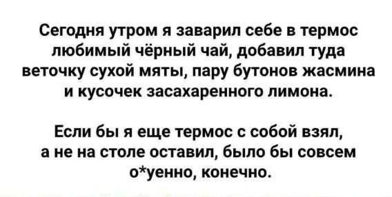 Сегодня утром я заварил себе в термос любимый чёрный чай, добавил туда веточку сухой мяты, пару бутонов жасмина и кусочек засахаренного лимона. Если бы я еще термос с собой взял, а не на столе оставил, было бы совсем о*уелно, конечно.