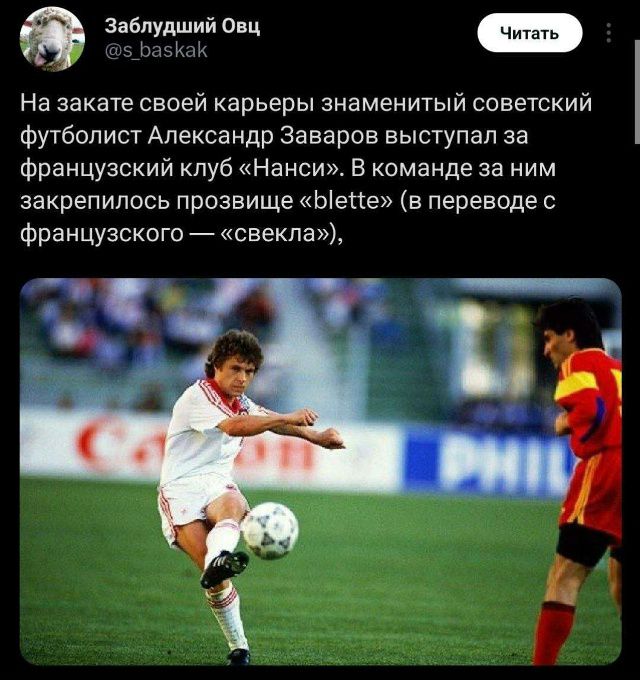 На закате своей карьеры знаменитый советский футболист Александр Заваров выступал за французский клуб «Нанси». В команде за ним закрепилось прозвище «blette» (в переводе с французского — «свекла»),