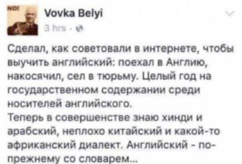 Сделал, как советовали в интернете, чтобы выучить английский: поехал в Англию, накосачил, сел в тюрьму. Целый год на государственном содержании среди носителей английского. Теперь в совершенстве знаю хинди и арабский, неплохо китайский и какой-то африканский диалект. Английский - по-прежнему со словарём...