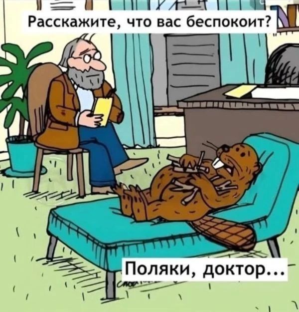 Расскажите, что вас беспокоит?
Поляки, доктор...