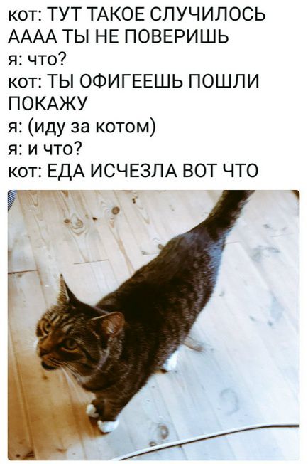КОТ: ТУТ ТАКОЕ СЛУЧИЛОСЬ АААА ТЫ НЕ ПОВЕРИШЬ
я: что?
КОТ: ТЫ ОФИГЕЕШЬ ПОШЛИ ПОКАЖУ
Я: (иду за котом)
Я: И ЧТО?
КОТ: ЕДА ИСЧЕЗЛА ВОТ ЧТО