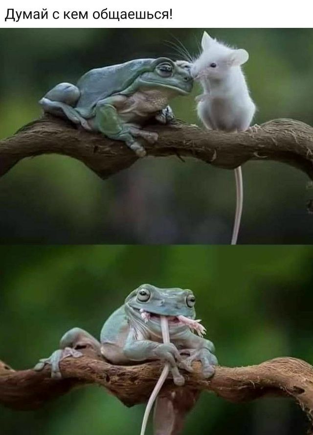 Думай с кем общаешься!