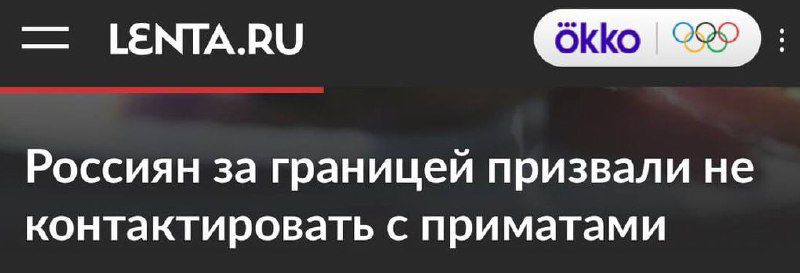Россиян за границей призвали не контактировать с приматами