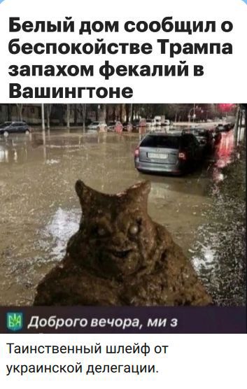 Белый дом сообщил о беспокойстве Трампа запахом фекалий в Вашингтоне. \nТаинственный шлейф от украинской делегации.