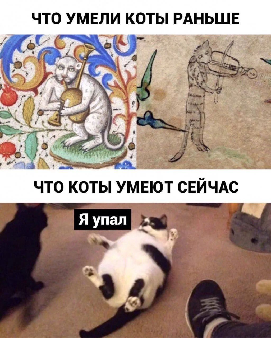 Что умели коты раньше\nЧто коты умеют сейчас\nЯ упал