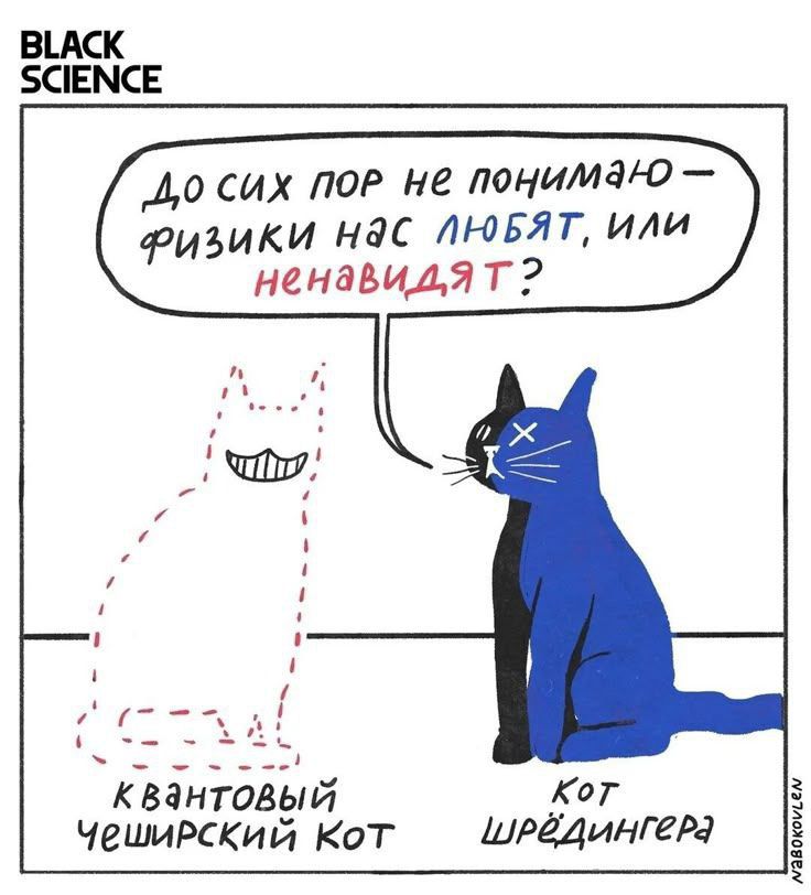 До сих пор не понимаю — физики нас любят, или ненавидят?\nквантовый чеширский кот\nкот Шредингера