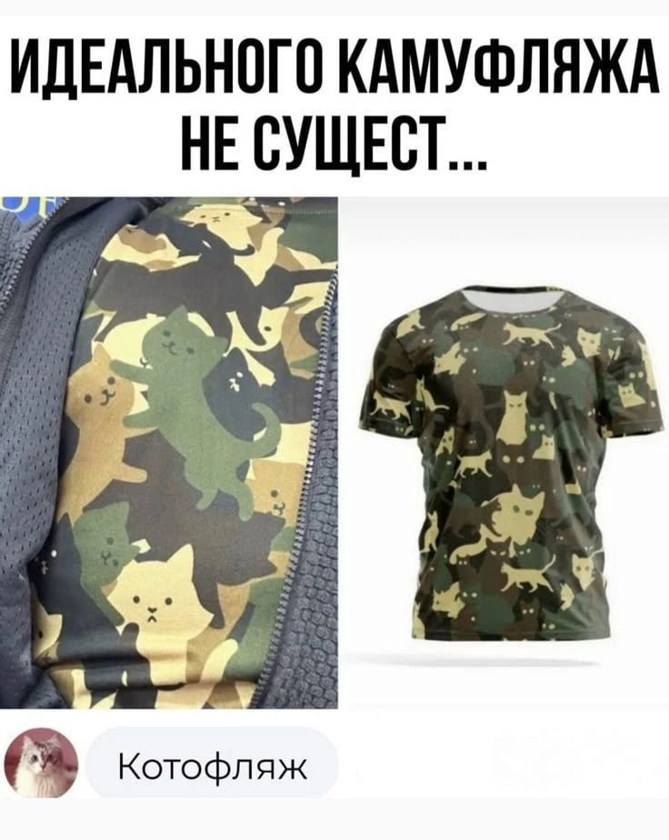 ИДЕАЛЬНОГО КАМУФЛЯЖА НЕ СУЩЕСТ...\nКотофляж