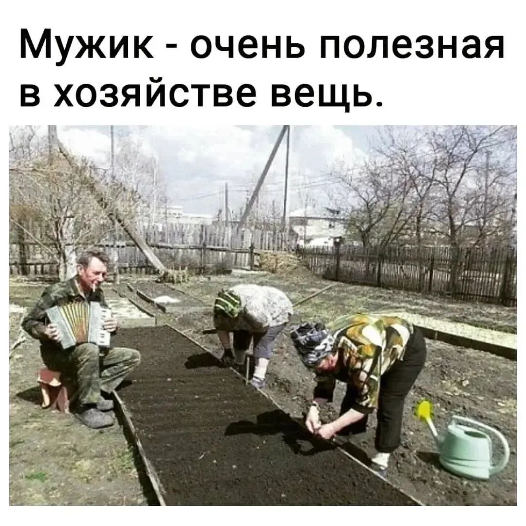 Мужик - очень полезная в хозяйстве вещь.