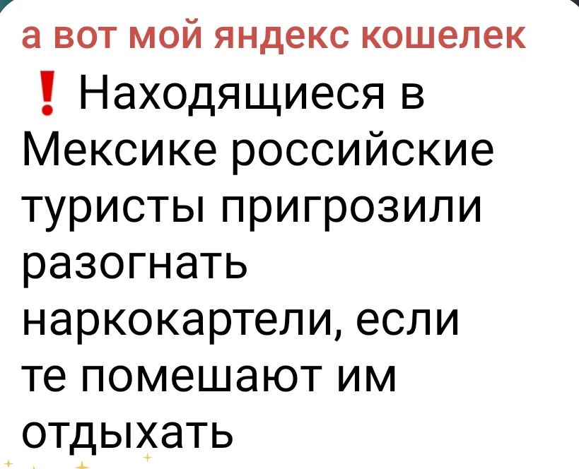 а вот мой яндекс кошелек Находящиеeся в Мексике российские туристы пригрозили разгнать наркокартели, если те помешают им отдыхать