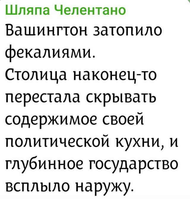 Вашингтон затопило фекалиями. Столица наконец-то перестала скрывать содержание своей политической кухни, и глубинное государство всплыло наружу.