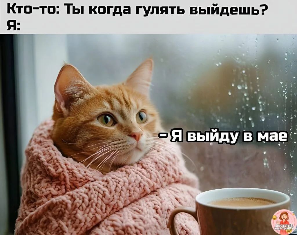 Кто-то: Ты когда гулять выйдешь? Я: - Я выйду в мае