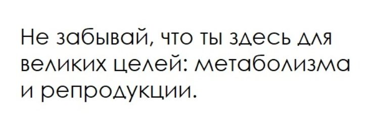 Не забывай, что ты здесь для великих целей: метаболизма и репродукции.