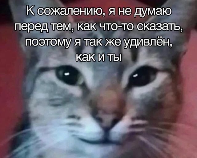 К сожалению, я не думаю перед тем, как что-то сказать, поэтому я так же удивлён, как и ты