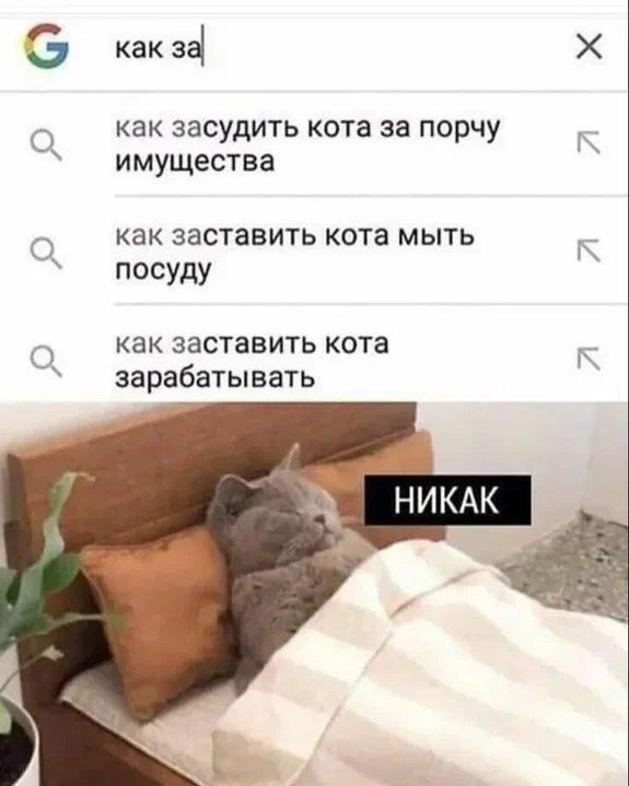 как засудить кота за порчу имущества
как заставить кота мыть посуду
как заставить кота зарабатывать
НИКАК