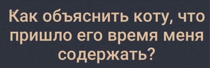 Как объяснить коту, что пришло его время меня содержать?