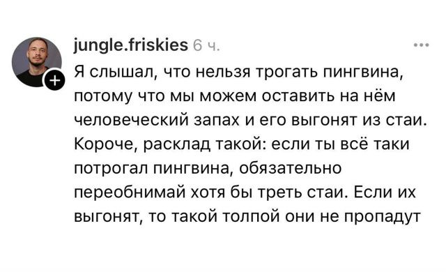 Я слышал, что нельзя трогать пингвина, потому что мы можем оставить на нём человеческий запах и его выгонят из стаи. Короче, расклад такой: если ты всё таки потрогал пингвина, обязательно переобоняй хотя бы треть стаи. Если их выгонят, то такой толпой они не пропадут