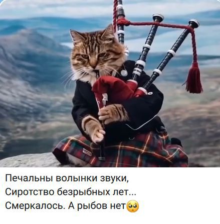 Печальные волынки звуки, Сиротство безрыбных лет... Смеркалось. А рыбов нет🥺