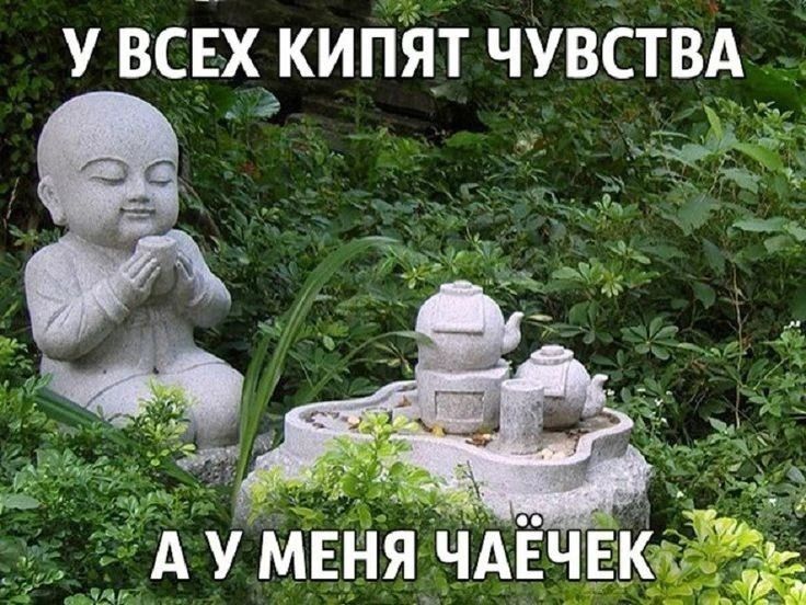 У ВСЕХ КИПЯТ ЧУВСТВА А У МЕНЯ ЧАЁЧЕК