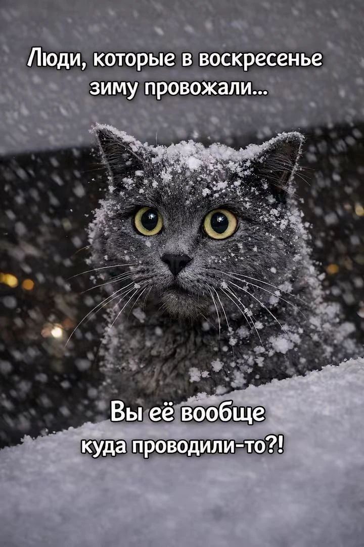 Люди, которые в воскресенье зиму провожали... Вы её вообще куда проводили-то?!