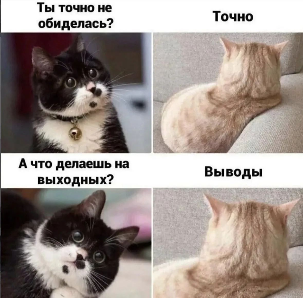 Ты точно не обиделась?\nТочно\nА что делаешь на выходных?\nВыводы