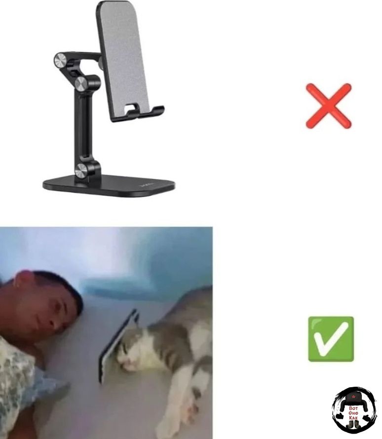 Сверху держатель для телефона с крестом; снизу человек и кот в кадре