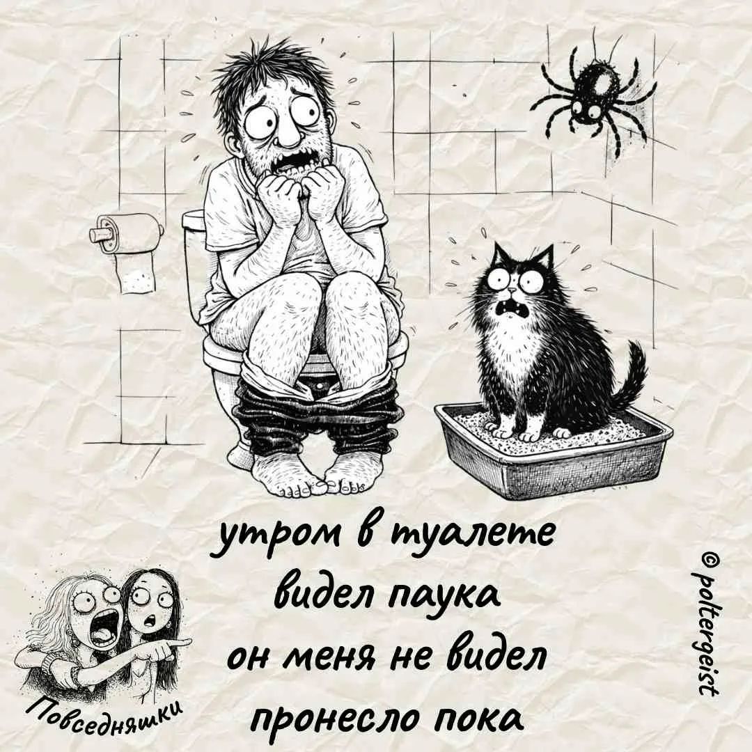 утром в туалете видел паука он меня не видел пронесло пока