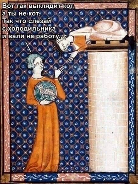 Вот так выглядит кот, а ты не кот. Так что слезай с холодильника и валяй на работу.