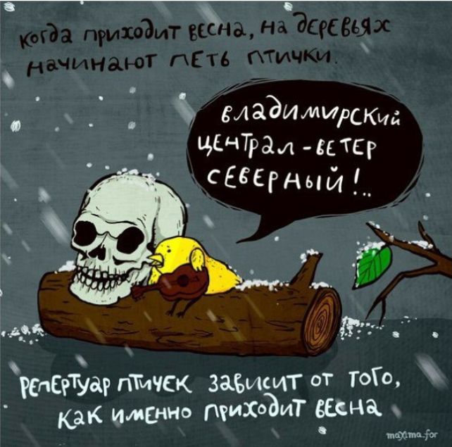 когда приходит весна, на деревьях начинают лететь птички. владимирский центр - ветер северный! Регистрация птичек зависит от того, как именно приходит весна