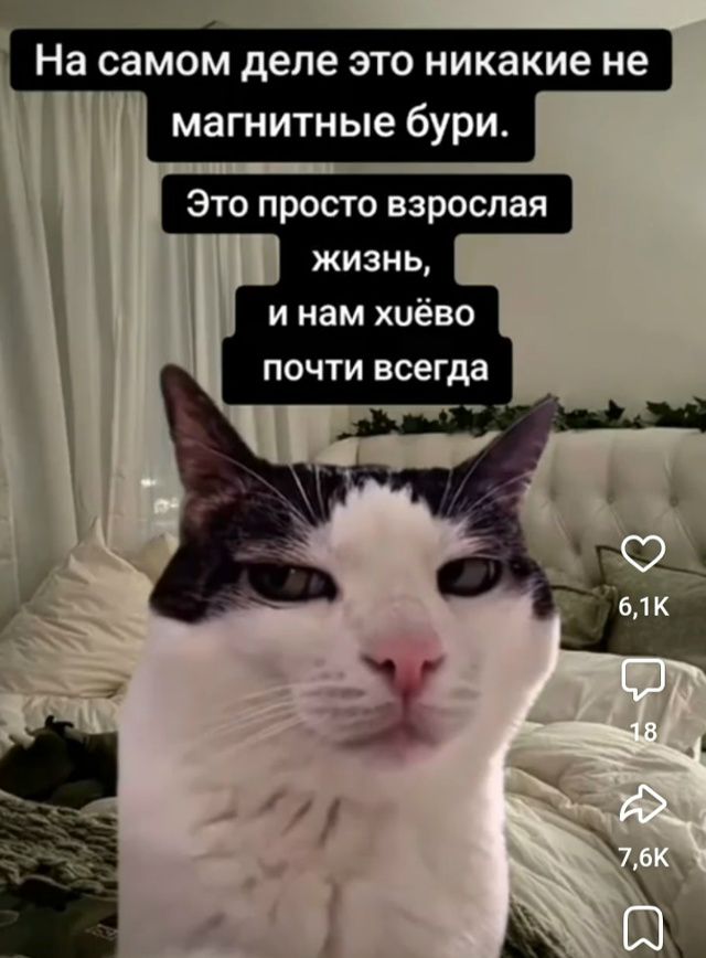 На самом деле это никакие не магнитные бури. Это просто взрослая жизнь, и нам х*ёвo почти всегда