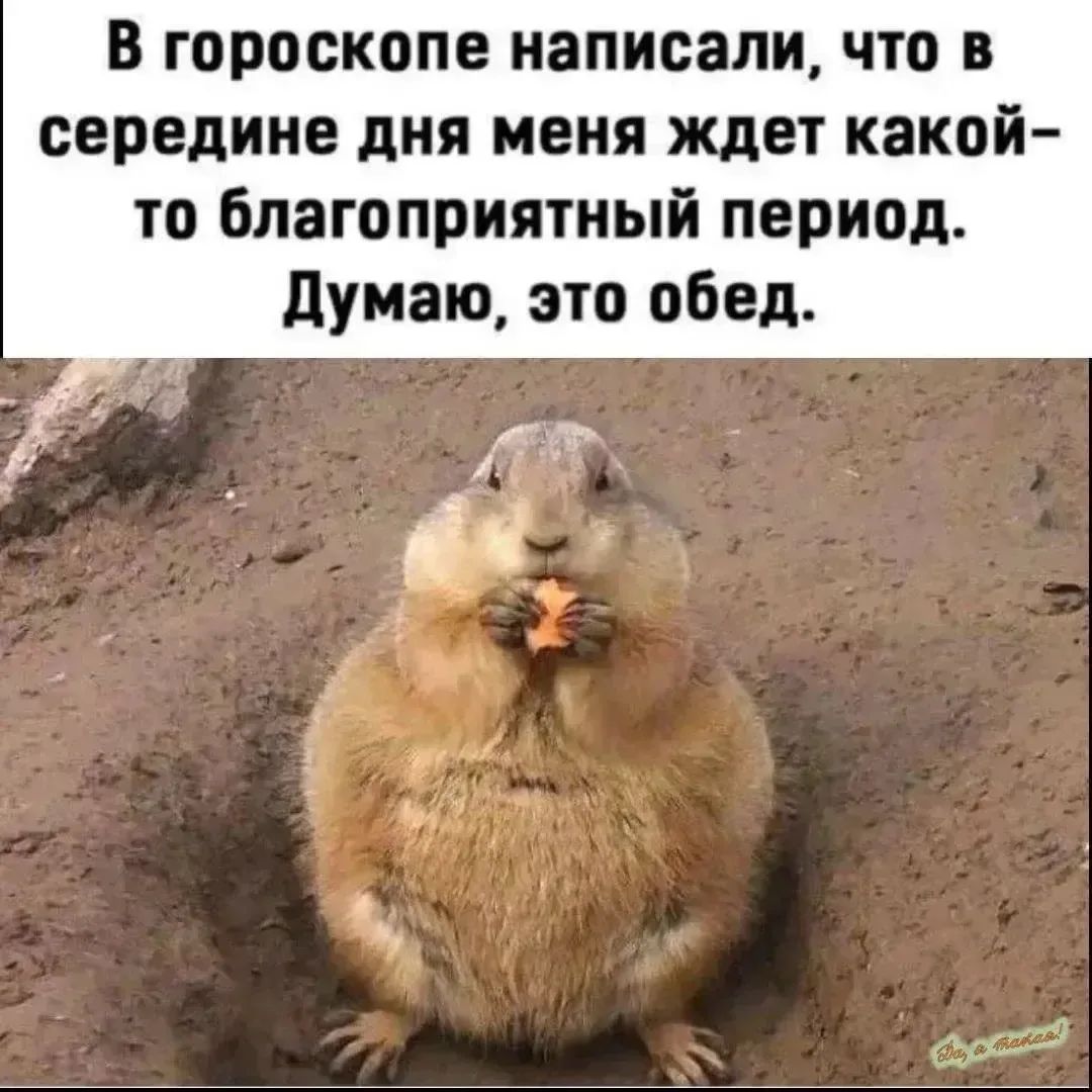 В гороскопе написали, что в середине дня меня ждёт какой-то благоприятный период. Думаю, это обед.