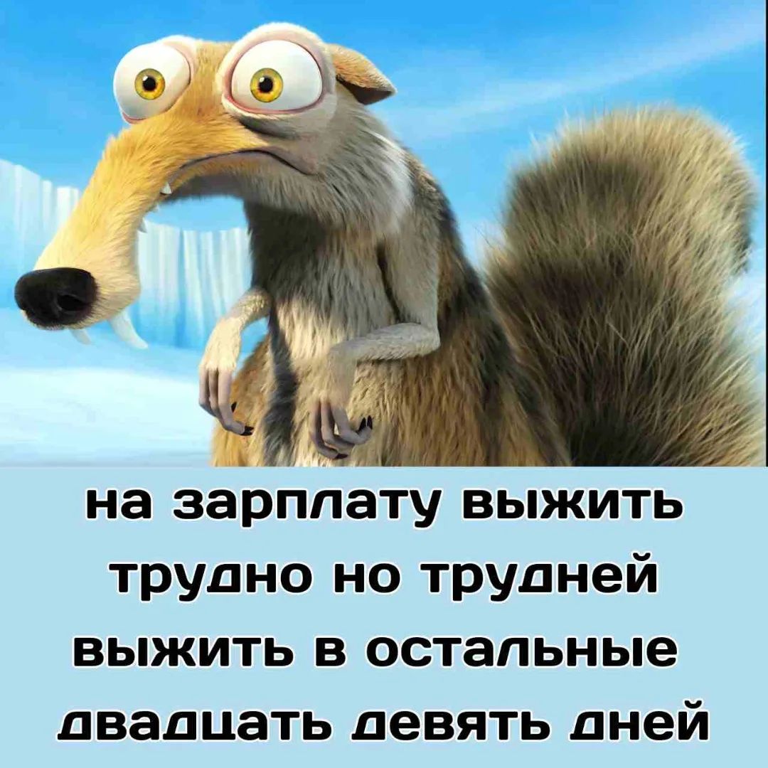 на зарплату выжить трудно но трудней выжить в остальные двадцать девять дней